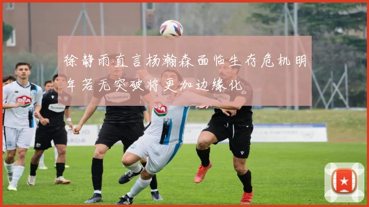 徐静雨直言杨瀚森面临生存危机明年若无突破将更加边缘化