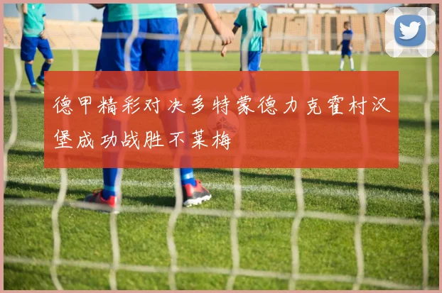 德甲精彩对决多特蒙德力克霍村汉堡成功战胜不莱梅