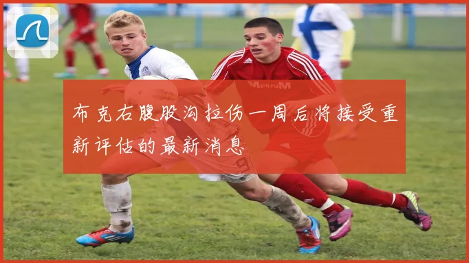布克右腹股沟拉伤一周后将接受重新评估的最新消息